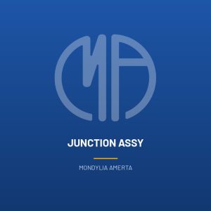 JUNCTION ASSY